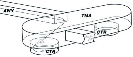 TMA i CTR 